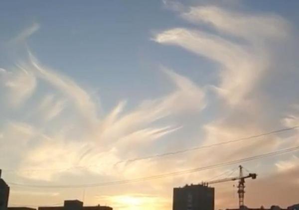 Phoenix-shaped clouds
