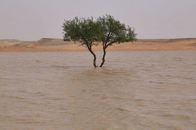 Flooded desert