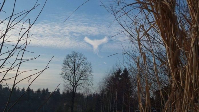 Bird-like cloud over Poland