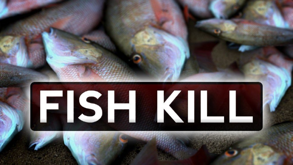 Fish kill