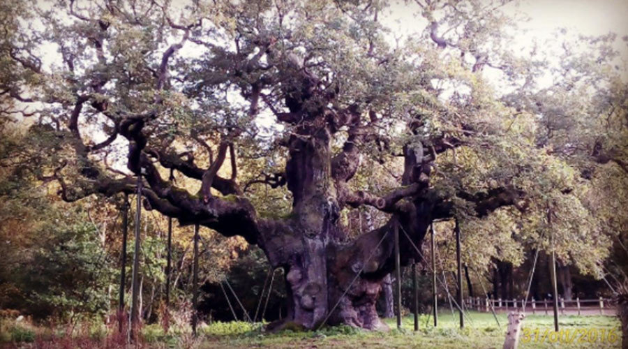 Robin Hood's Sherwood Forest hideout under threat from frackers