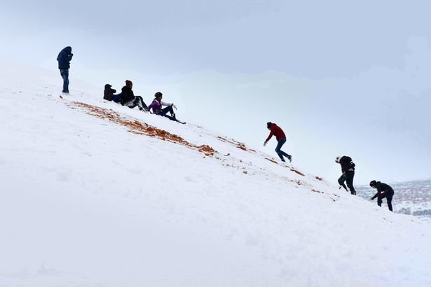 People sledging in the Sahara Desert 