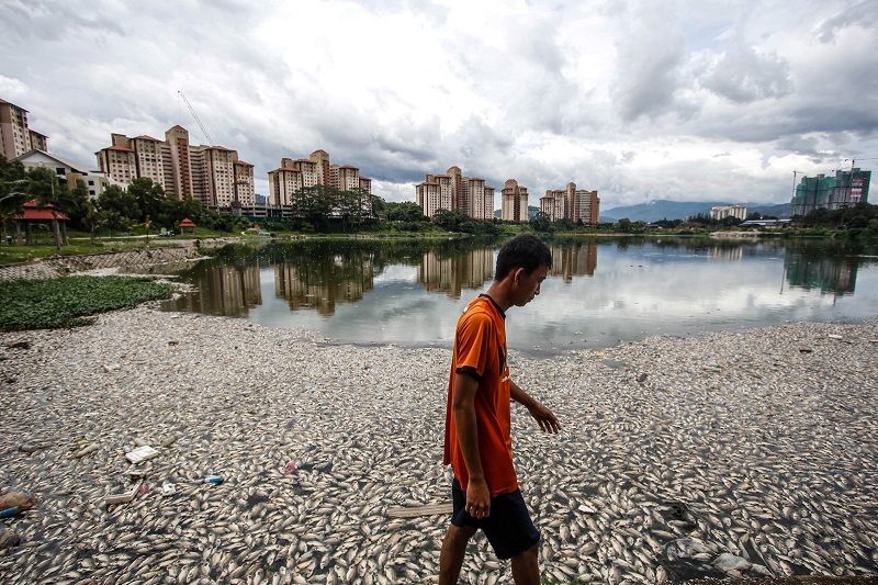 Yayan Abranto, 24, a resident at the Intan Baiduri People’s Housing Project, walks past the dead fish.