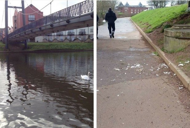 Headless swans found in Exeter