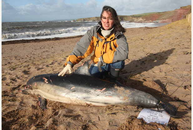 Campaigner Lindy Hingley with a dead dolphin