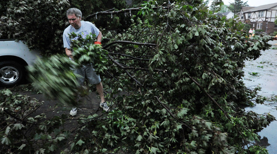 man clearing fallen tree
