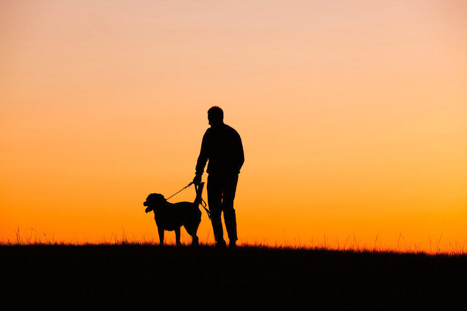 Man walking his dog at sunset