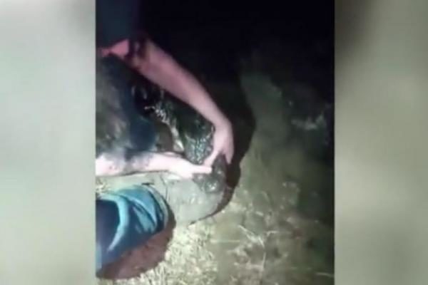 A Florida fisherman works to pry an alligator's jaws off his boot. 