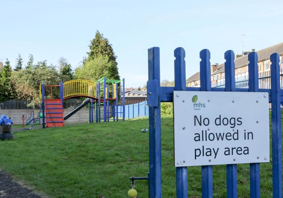 Click to enlarge The playground where the attack happened was silent this morning after the devastating news rocked neighbours