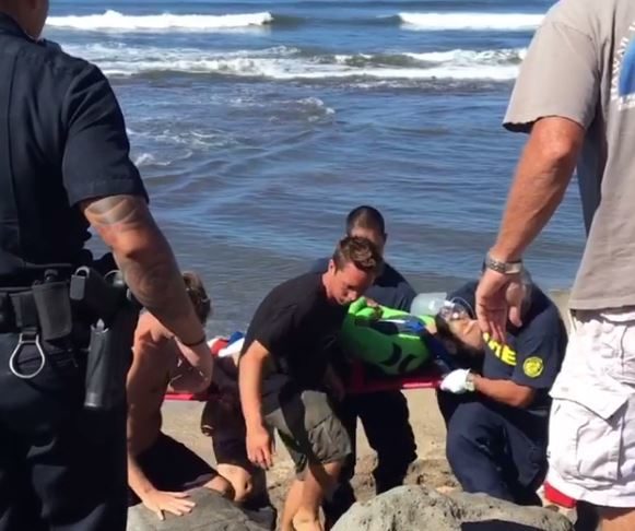 Click to enlarge SHARK RESCUE