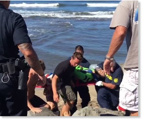Surfer critically injured after shark bite at Kauai beach, Hawaii -- Earth Changes -- Sott.net