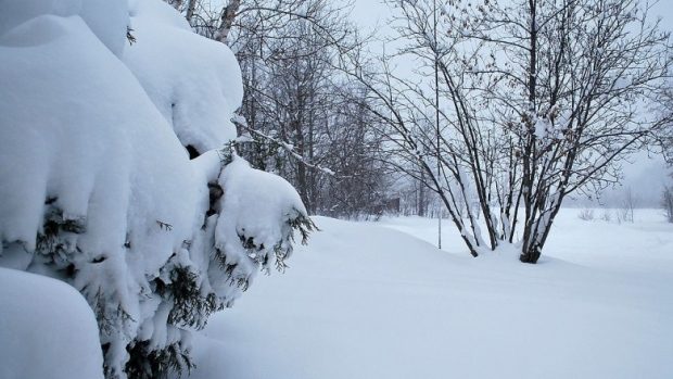 A serious snowfall blanketed central and northern Saskatchewan with snow this weekend. 