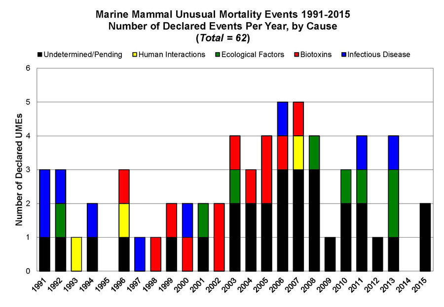 whale deaths chart