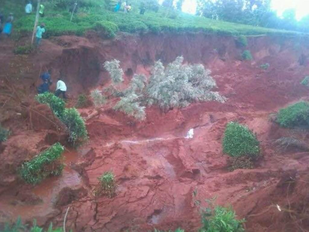 Farms destroyed after a massive landslide in Kanyakiri village, Embu North subcounty, May 20, 2017.