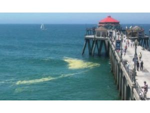 Click to enlarge Neon Green Slime