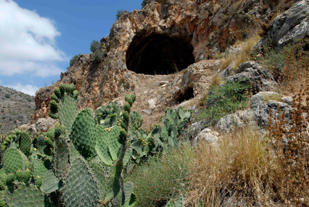 Click to enlarge Image