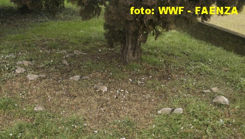 Click to enlarge Image