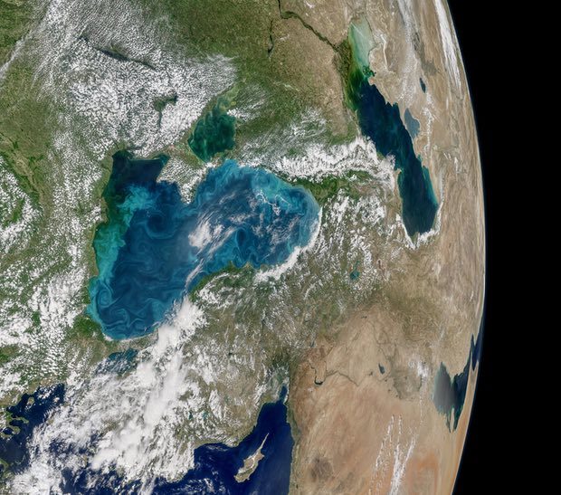 Phytoplankton bloom in the Black Sea