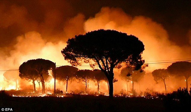 The blaze raging through forest land in La Penuela, Huelva, Spain