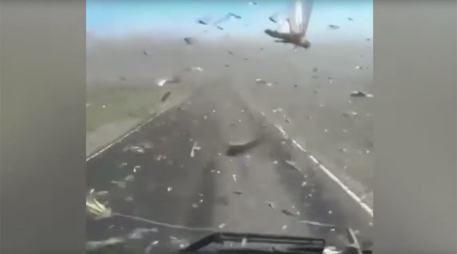 locust swarm in Russia