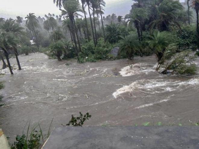 Record rainfall in Mount Abu