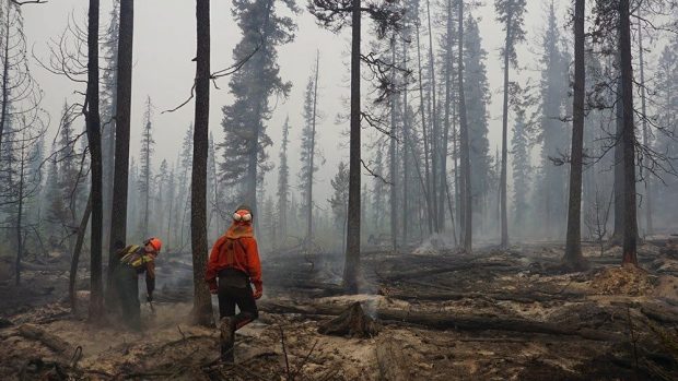 There are currently 137 wildfires burning across B.C.