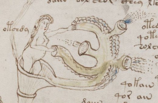 voynich manuscript solved 2017 voynich manuscript solved 2017