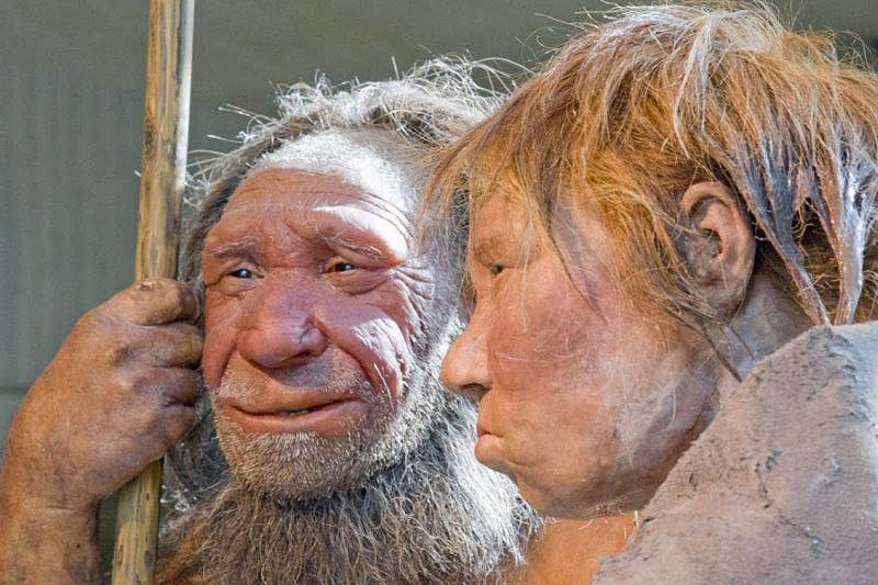 neanderthal neandertal