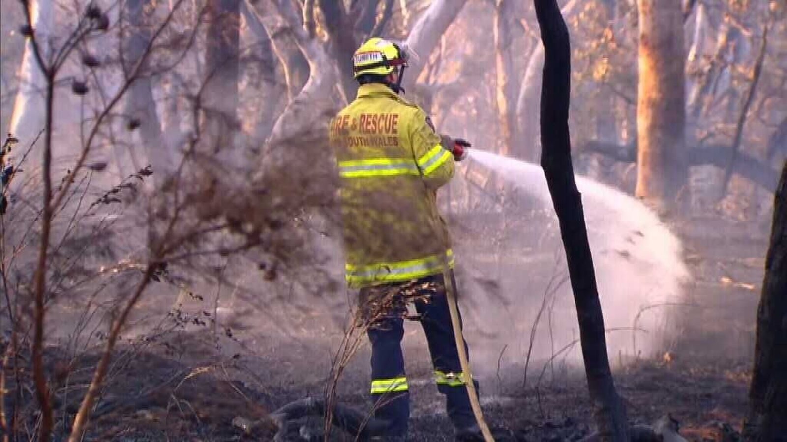 A total fire ban has been declared for Greater Sydney, the Illawara and most of the state's northeast today.