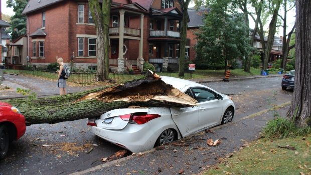 Ottawa storm damage