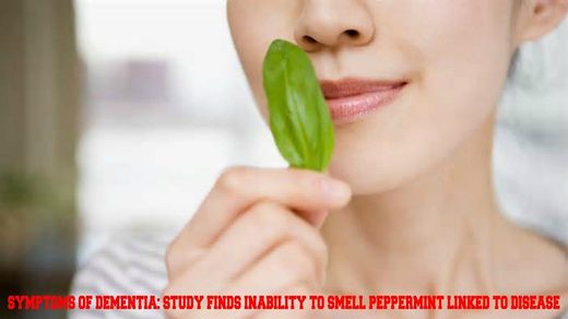 Symptom of dementia: Researchers link inability to smell peppermint with Alzheimer's disease Symptom of dementia: Researchers link inability to smell peppermint with Alzheimer's disease