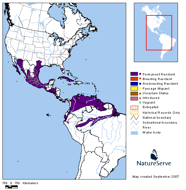 Northern Crested Caracara (Caracara cheriway) range