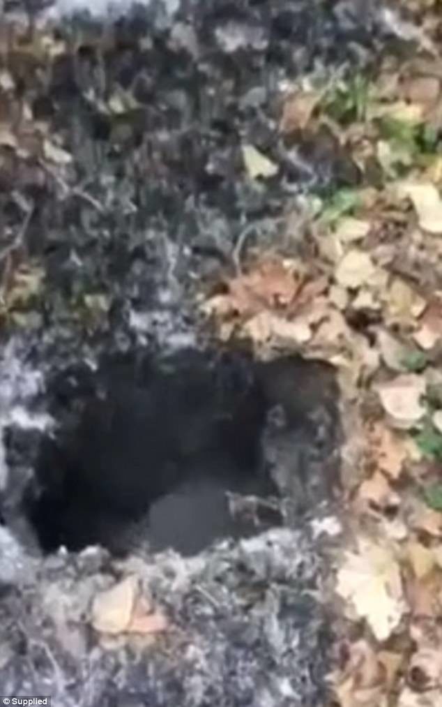 Video taken by a local resident at the site shows a large area of burnt trees and a deep hole in the ground (pictured)