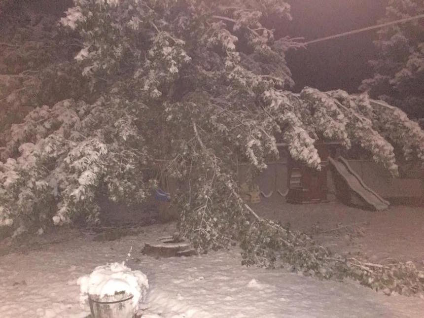 Click to enlarge snow