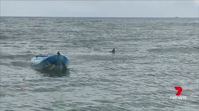 Girl knocked off kayak by shark