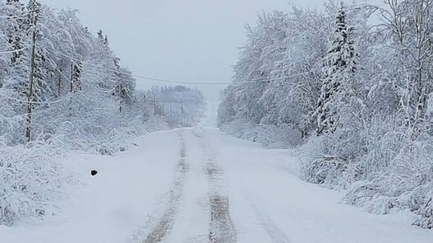 Between 20 and 55 centimetres of snow had fallen throughout the Peace by Wednesday morning, making for treacherous driving conditions.