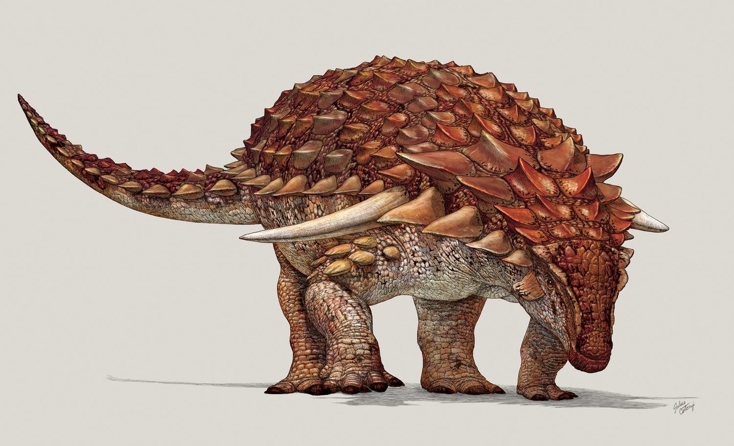 nodosaur mummy