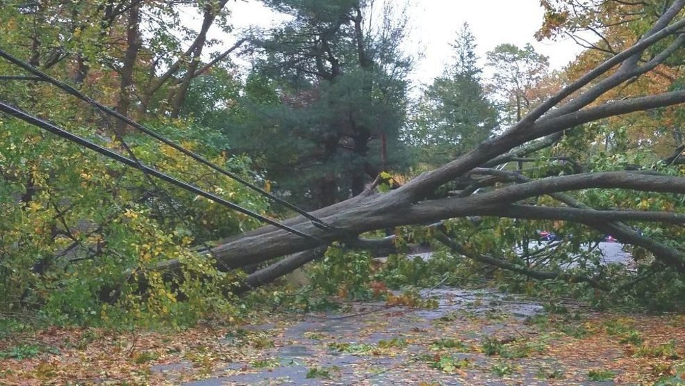 National Grid has provided an update on efforts to restore electricity after Sunday's windstorm, dashing hope for speedy repairs.