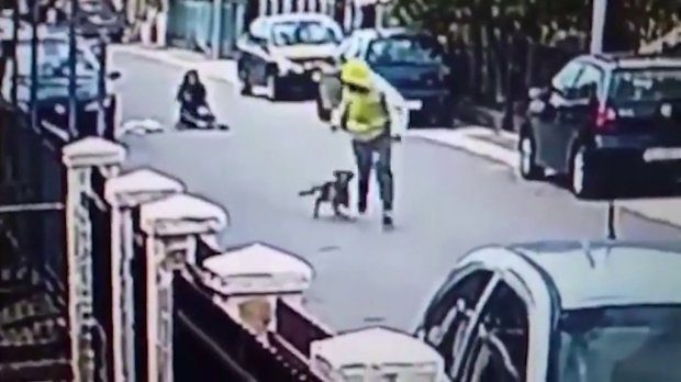 Dog saves women from attacker