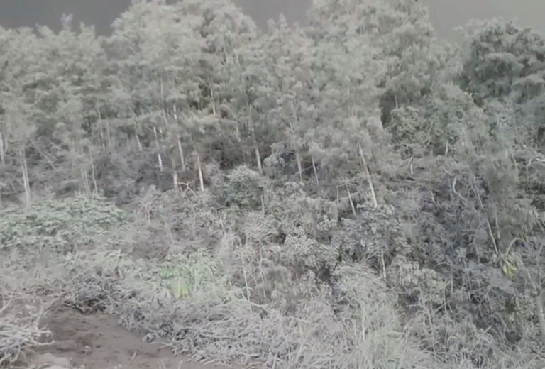 Mount Agung Bali ash