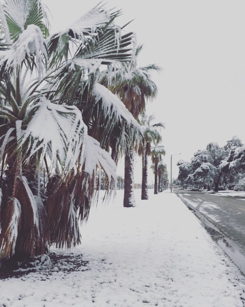 Snow covers Corpus Christi in Texas on December 8 2017. First time in 13 years.