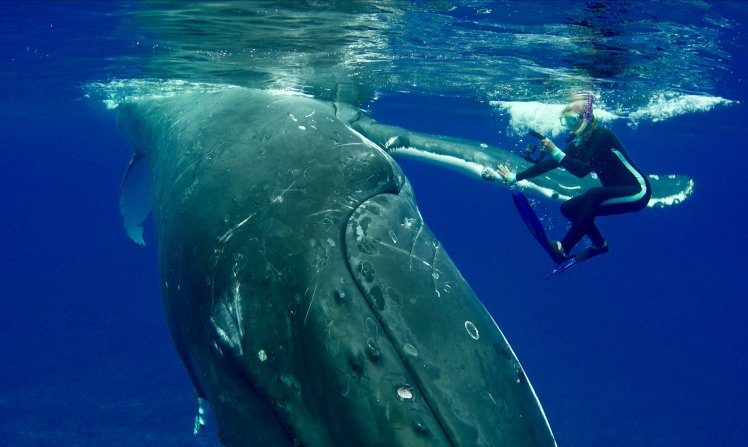 Nan Hauser with Whale