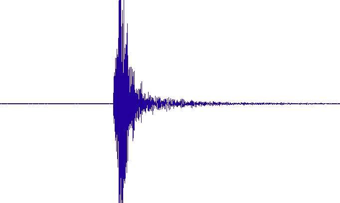 Seismogram as recorded in the scientific station at Raoul Island