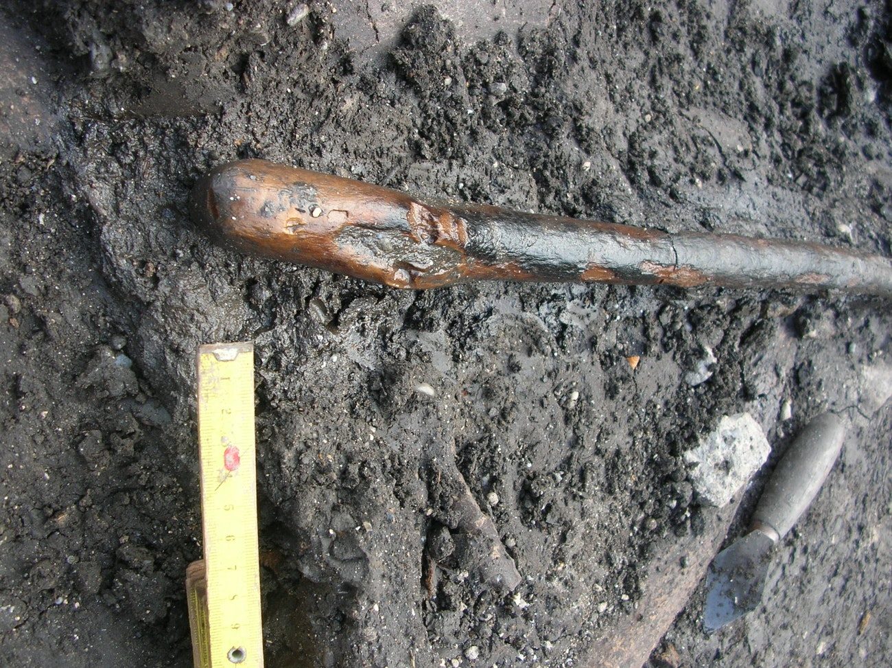 Neanderthal sticks