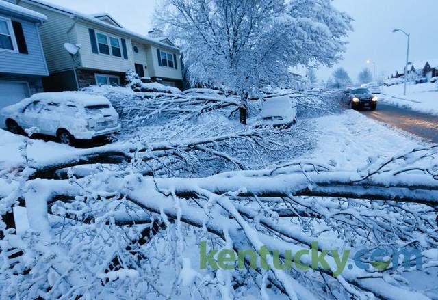 Trees weighted down by heavy snow fell on vehicles on Hartland Pkw.