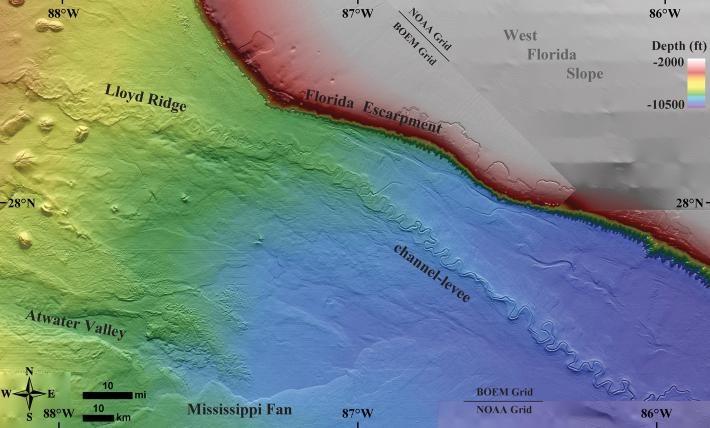 gulf of mexico sea floor map