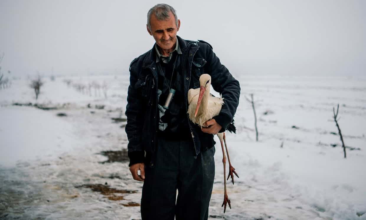 Safet Halil holds a stork in his farm backyard. He found five of the stranded birds, took them home and lit a stove to warm them up, before feeding them fish.
