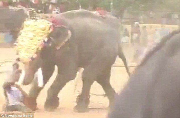 Attack: Two of the 'passengers' manage to flee, but two others are attacked by the elephant