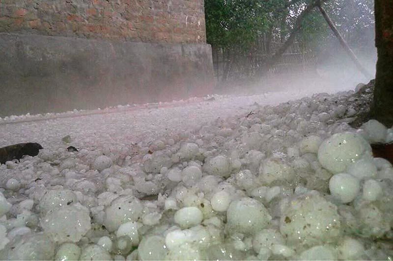 Piles of hailstones deposited in Matsari area of Durga Bhagawati Rural Municipality, in Rautahat district, on Friday, March 30, 2018.
