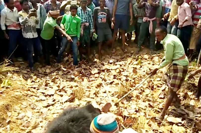 The bear was killed by villagers after the attack